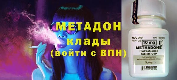 шишки Арсеньев