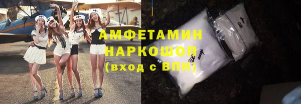 шишки Арсеньев