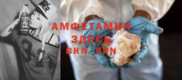 шишки Арсеньев