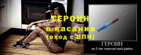 шишки Арсеньев