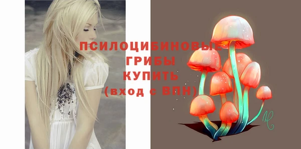 шишки Арсеньев