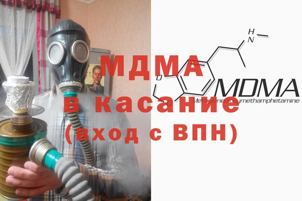 шишки Арсеньев